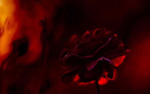 599265 (a): :2560x1600